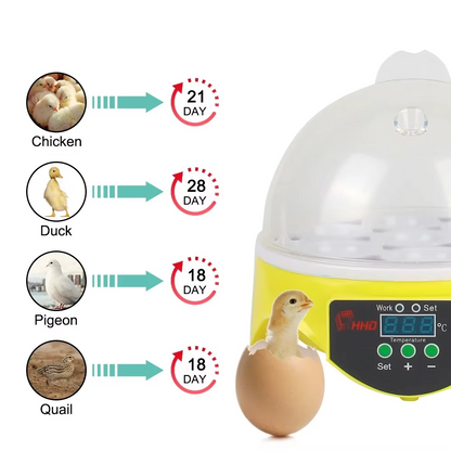 Transparent Poultry Incubator