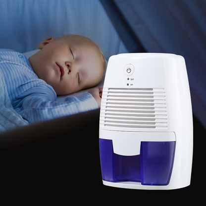 Portable Electric Dehumidifier