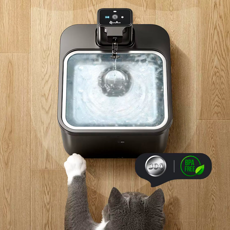 Cat Water Fountain