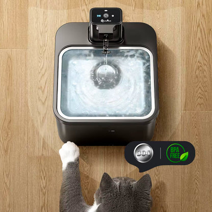 Cat Water Fountain