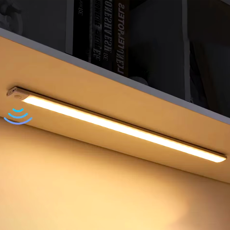 Motion Sensor Light